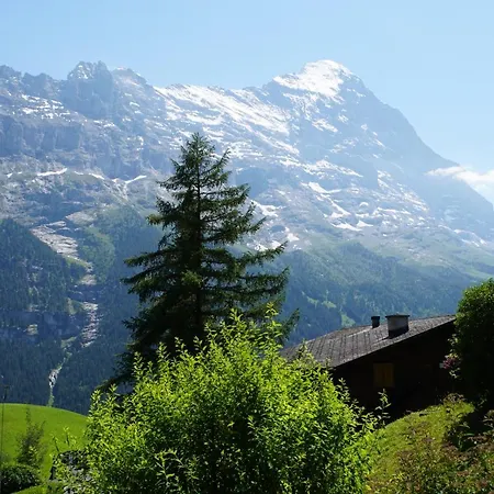 Daire Eigerview Grindelwald